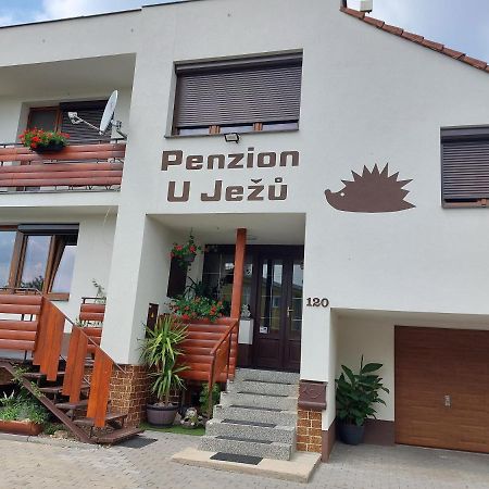 Penzion U Jezu - Ubytovani Pasohlávky Exterior foto