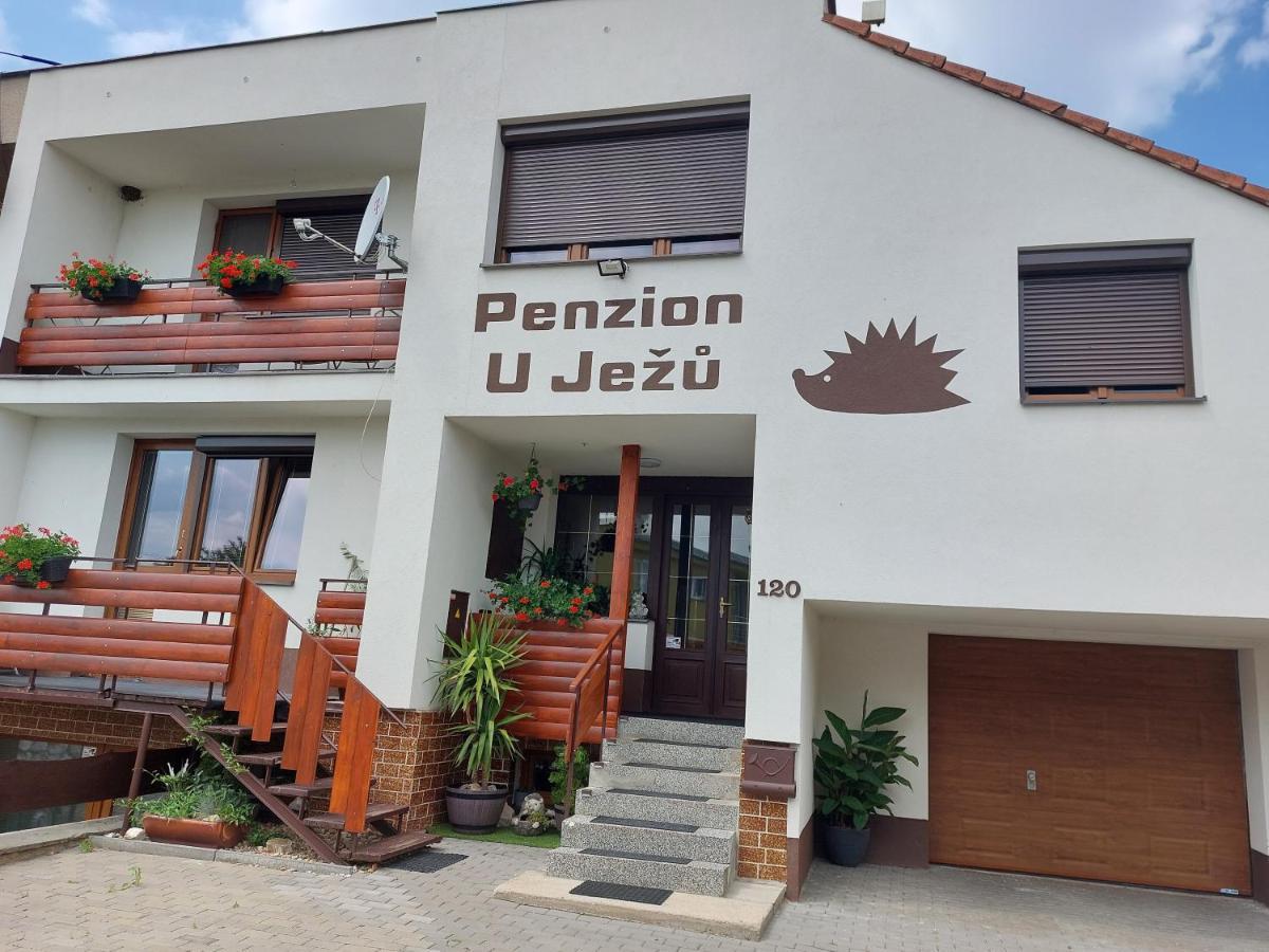 Penzion U Jezu - Ubytovani Pasohlávky Exterior foto
