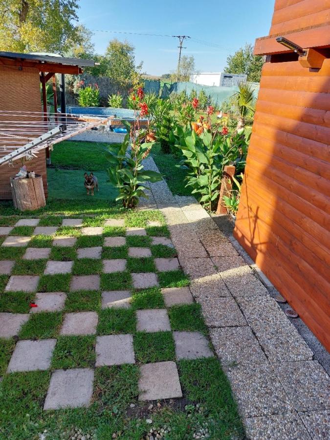 Penzion U Jezu - Ubytovani Pasohlávky Exterior foto