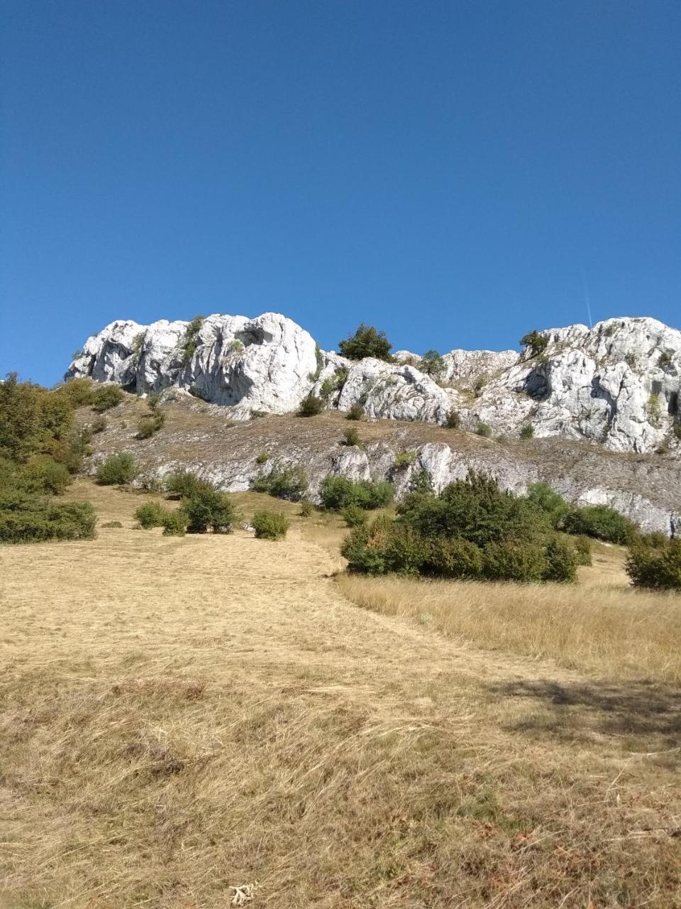 Penzion U Jezu - Ubytovani Pasohlávky Exterior foto